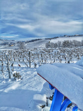 Carica l'immagine nel visualizzatore di Gallery, Degustazione Cascina Garitina "Big Bench Experience"