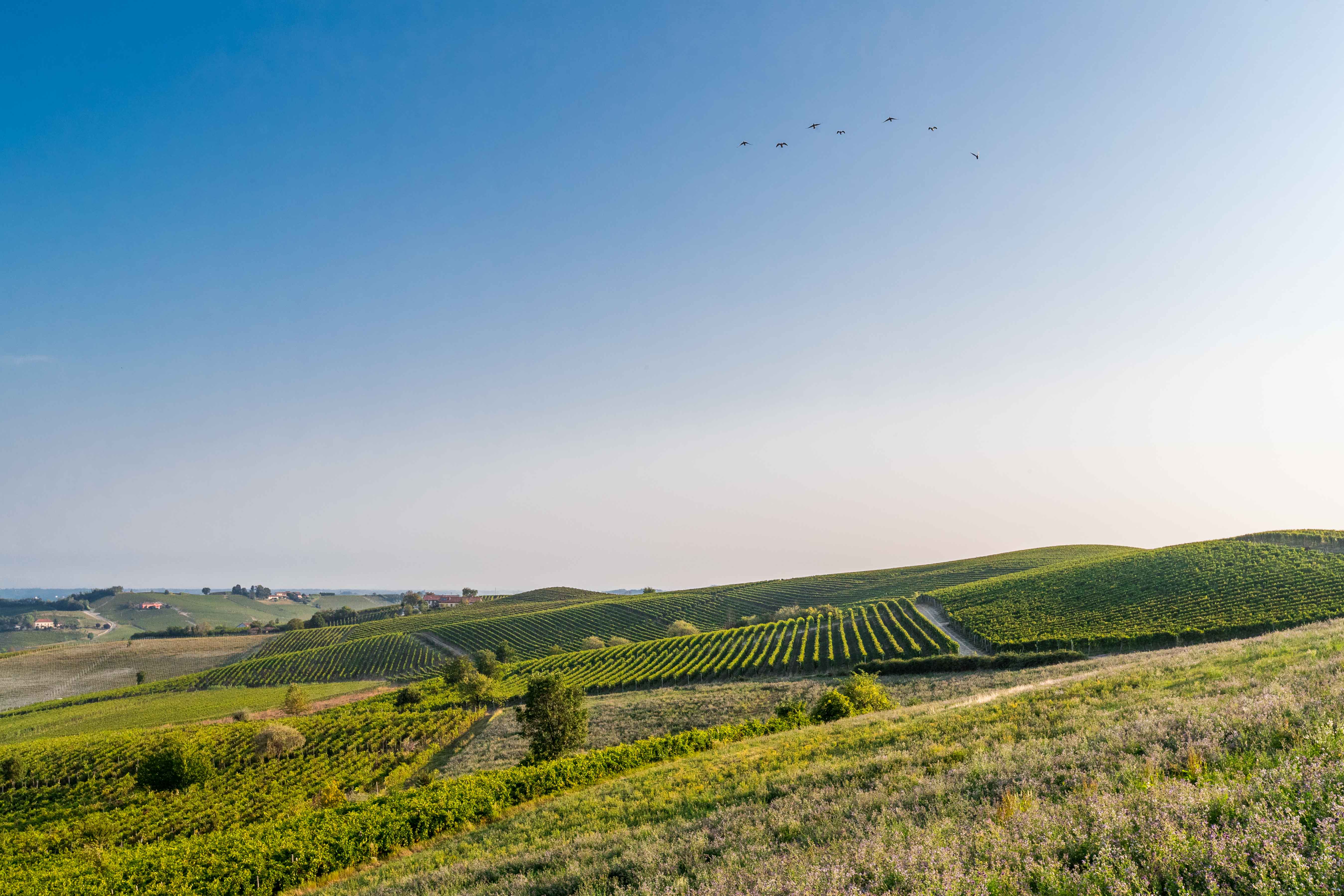Cascina Garitina